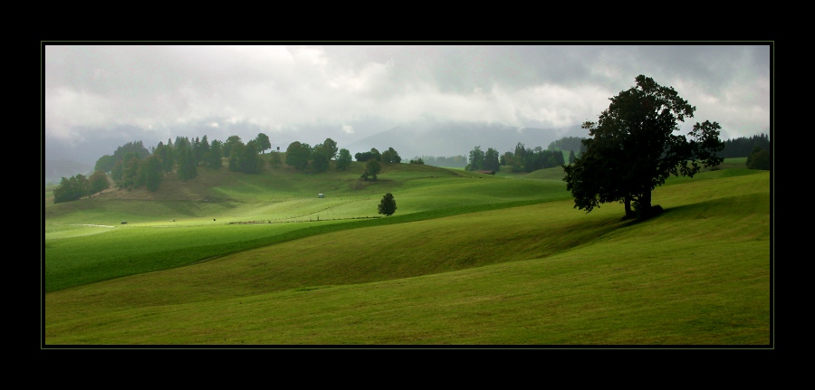 magic bavarian green