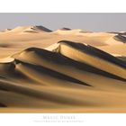 Magic Dunes