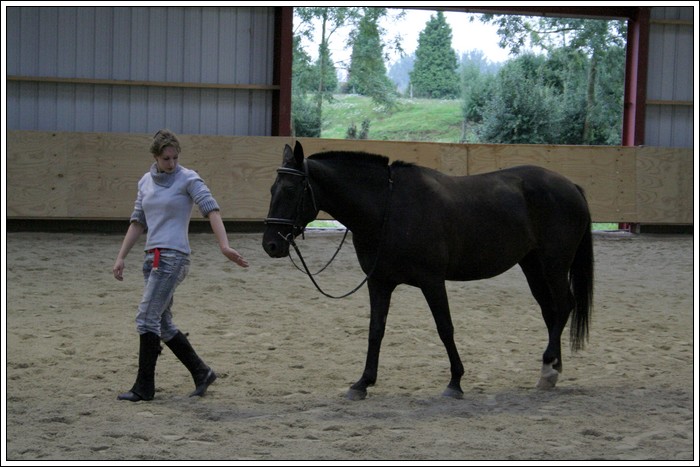 Magic et Virginie