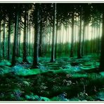 magic forest **