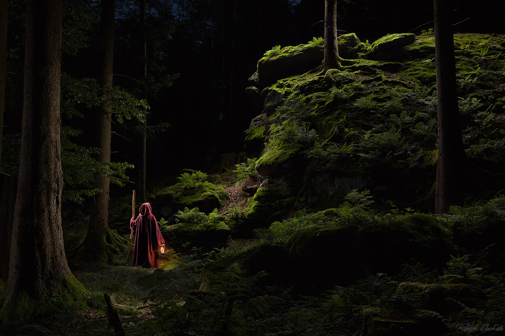 magic forest - lightpainting