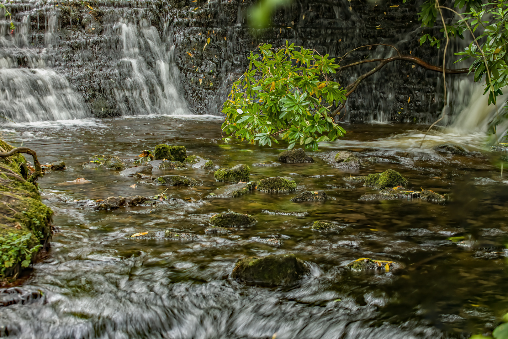 Magic Glencar Fall