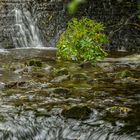 Magic Glencar Fall