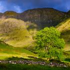 magic glencoe