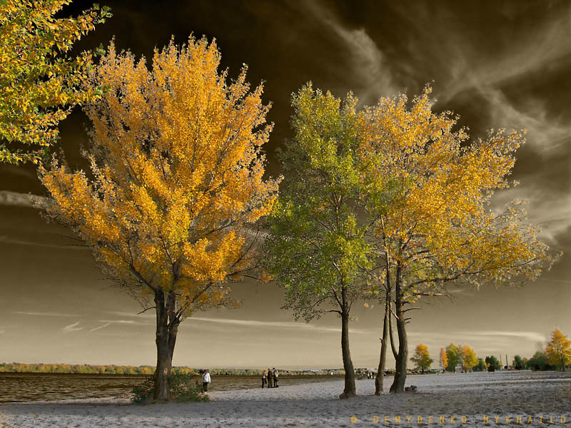 Magic l'automne sur les îles du Dniepr