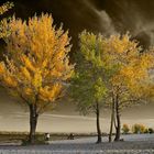 Magic l'automne sur les îles du Dniepr