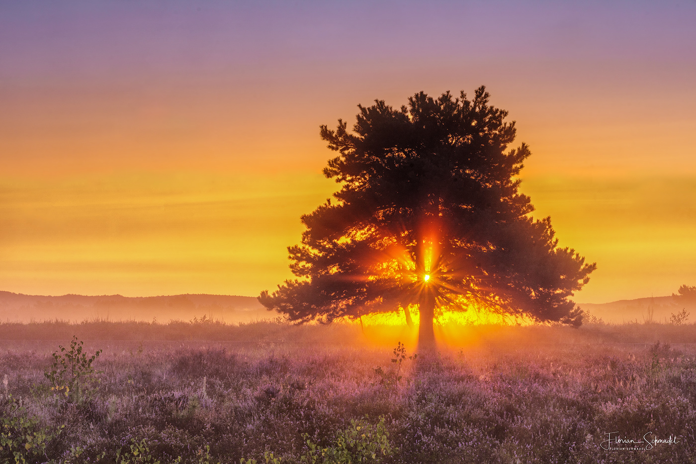 Magic Moment by Florian Schmadel Fotografie