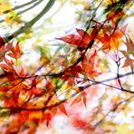 Magic-Moments, der Herbst ist bunt