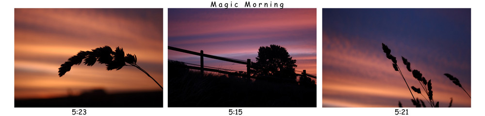 Magic Moments - Magic Morning ...