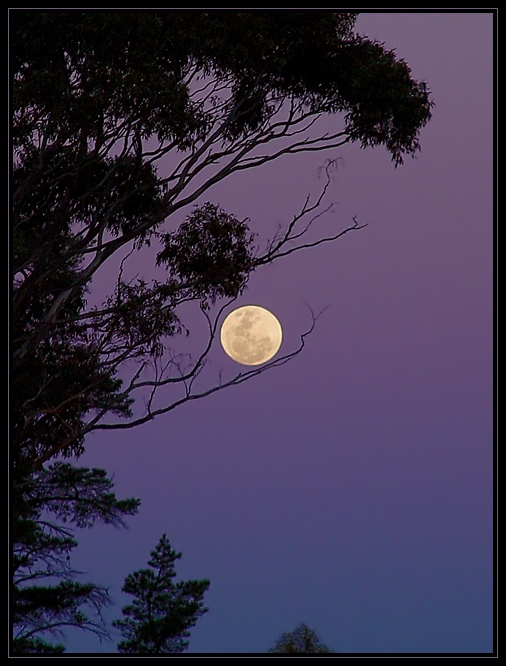 magic moon von Marco Enderli