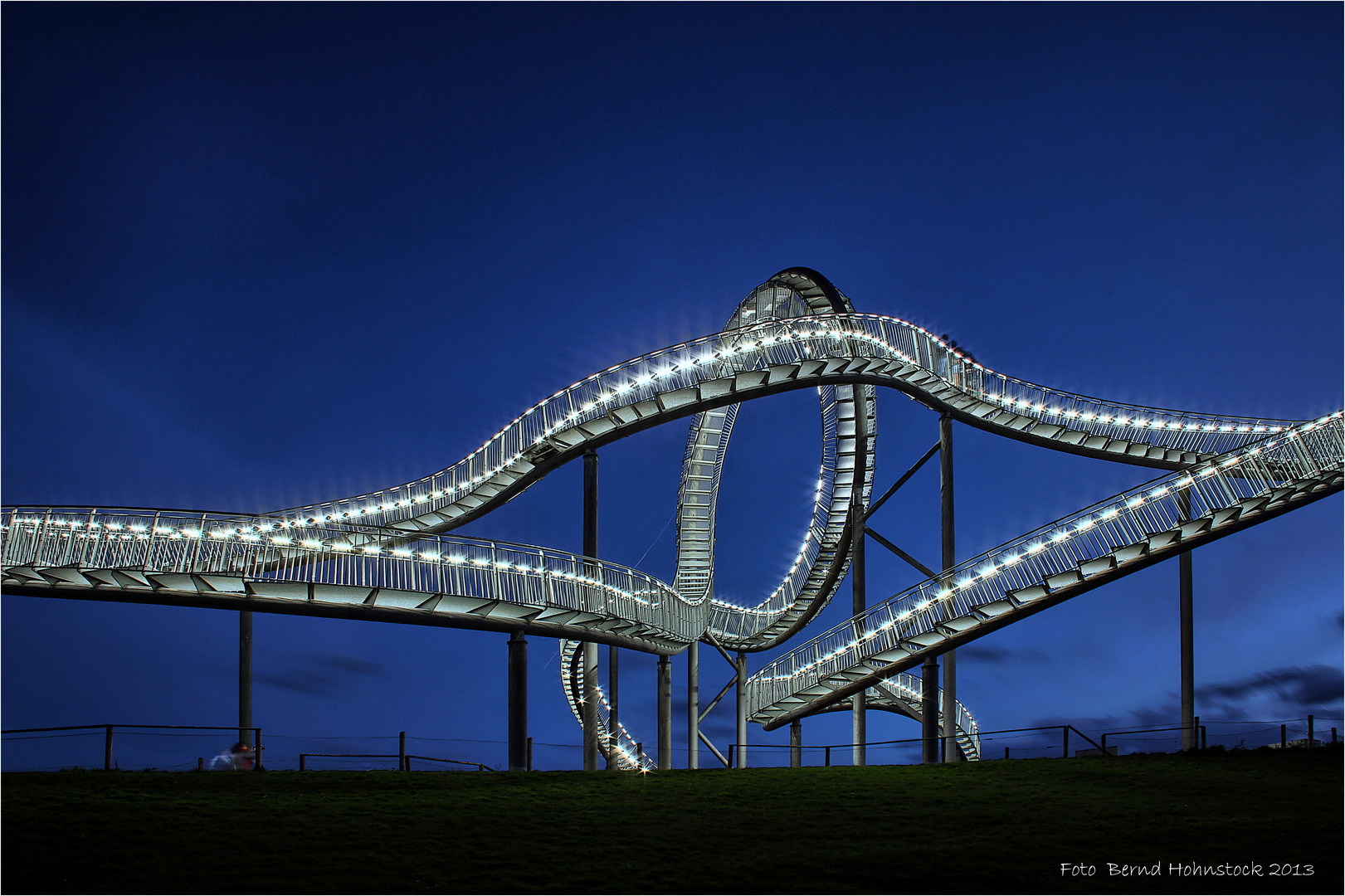 Magic Mountain .... Tiger and Turtle