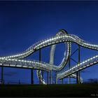 Magic Mountain .... Tiger and Turtle