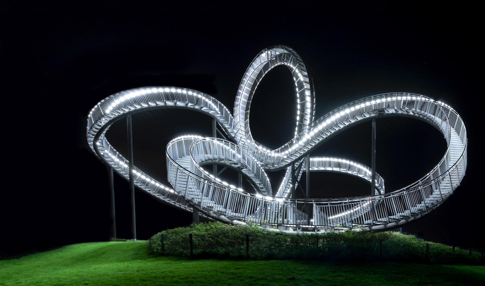 Magic Mountain. Tiger & Turtle.