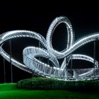 Magic Mountain. Tiger & Turtle.