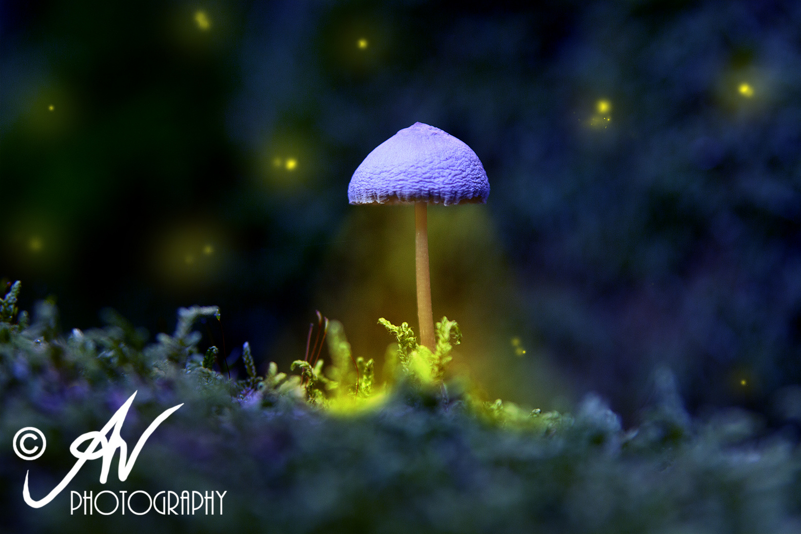 Magic Mushroom ;)