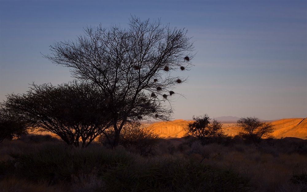 Magic of Africa