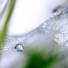 Magic of Drops I