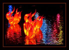 Magic of Lanterns IV(Montreal)