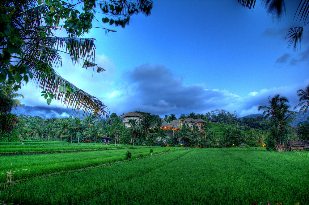 Magic Sidemen - Bali