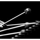 Magic Sticks (Vibraphone)