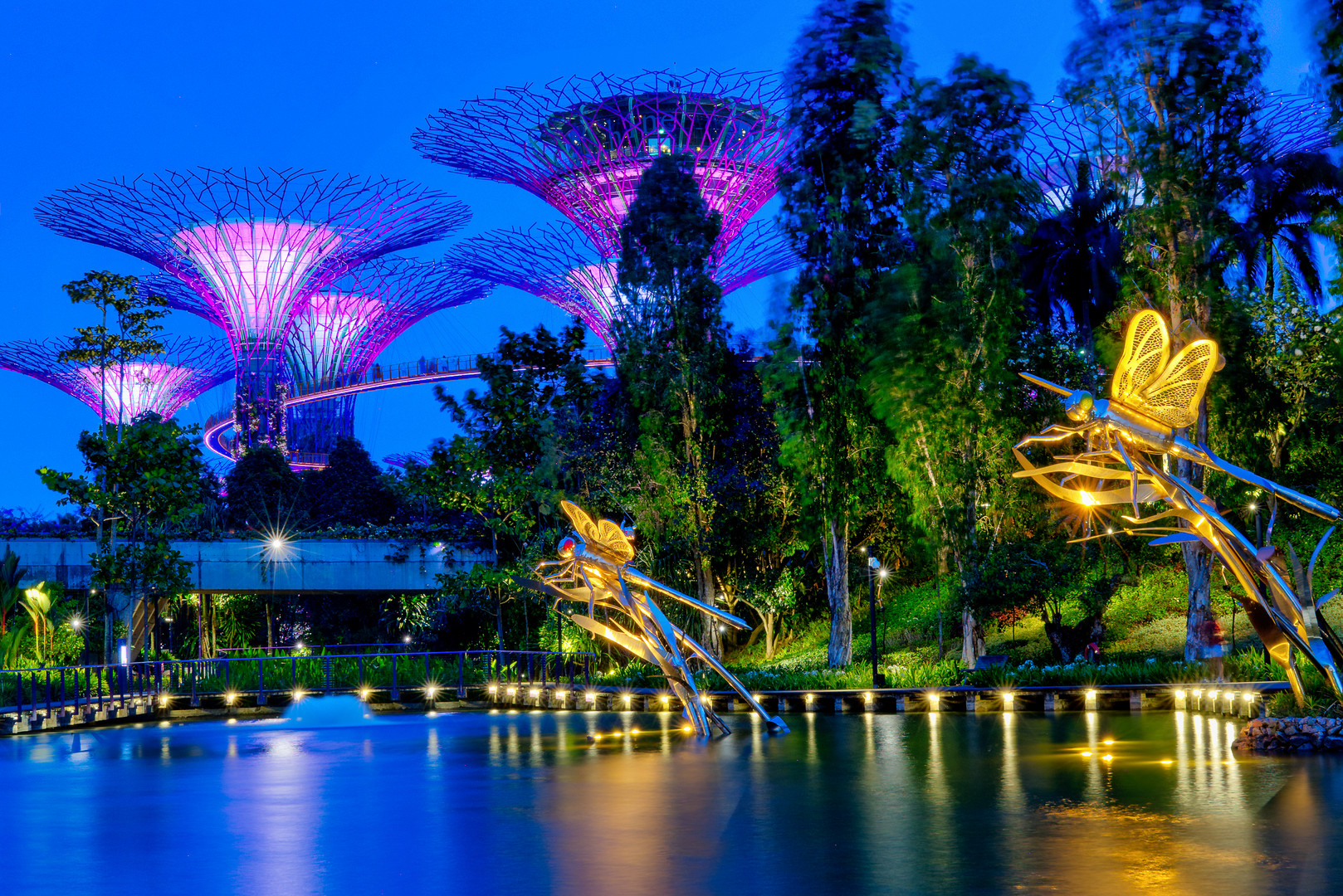 Magic Trees in Singapore