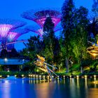 Magic Trees in Singapore