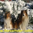 Magic und Bonnie im ersten Schnee 2015