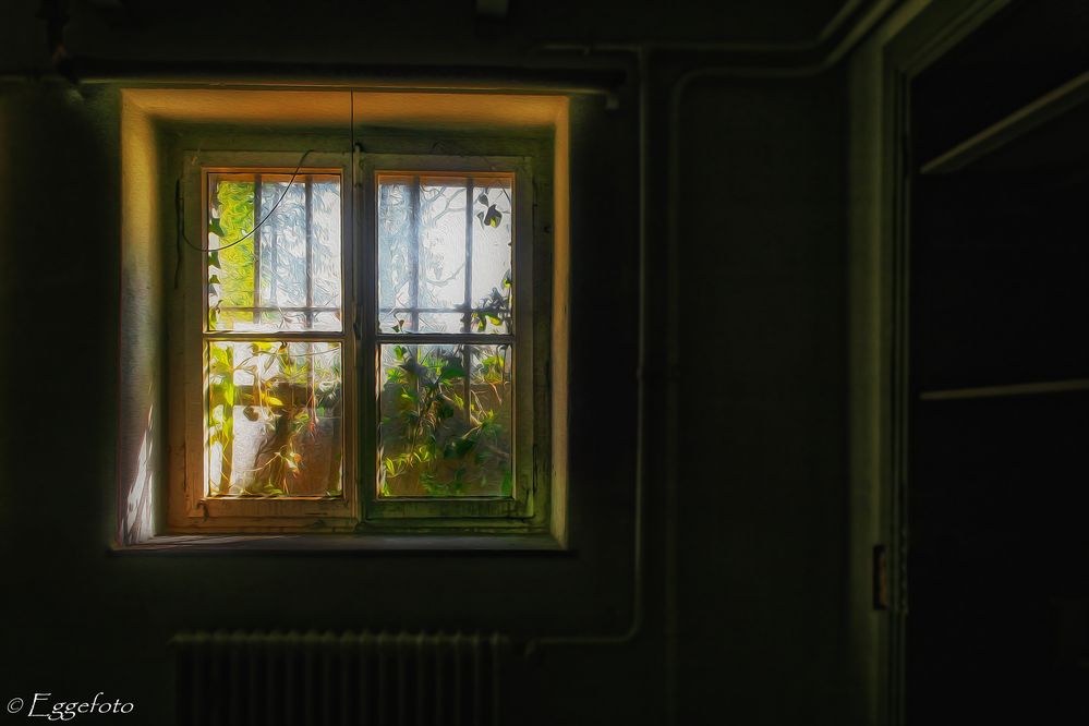 " Magic Window "