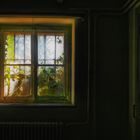 " Magic Window "