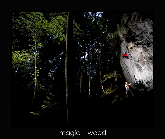 Magic Wood