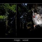 Magic Wood