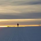 Magical cross-country skiing at gold sunset