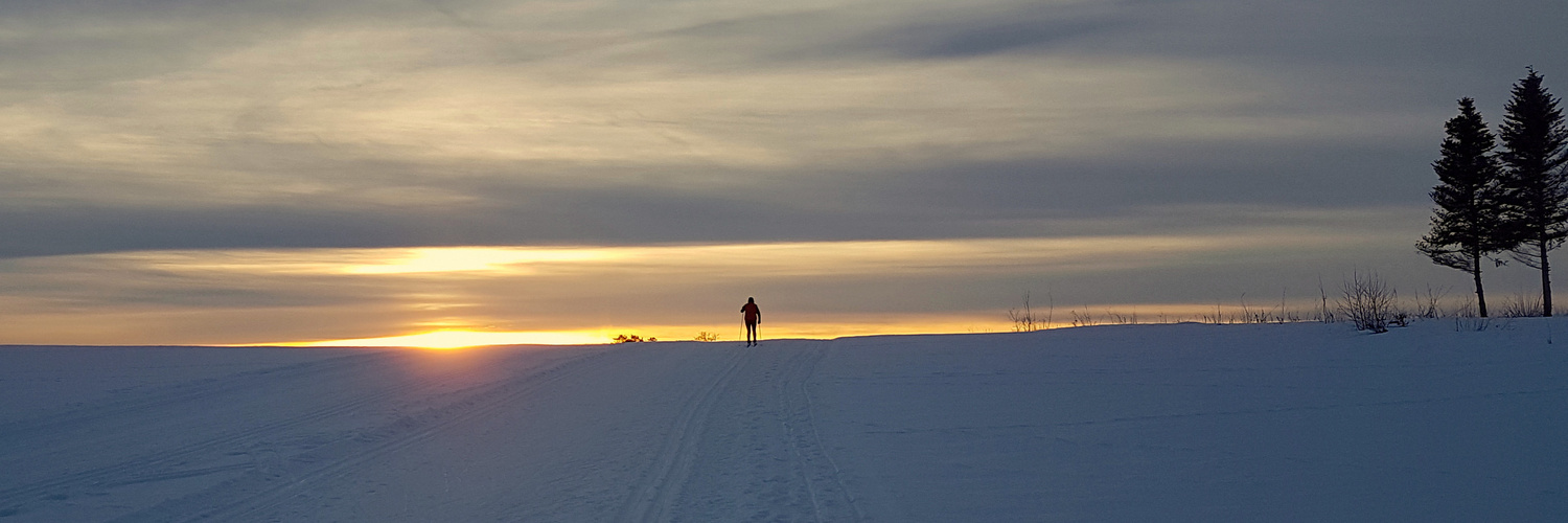 Magical cross-country skiing at gold sunset