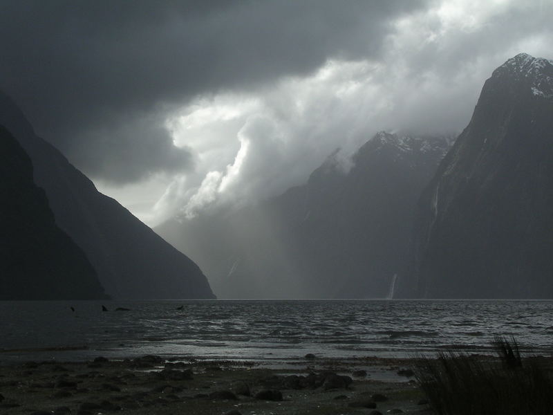 magical mystic milford sound *