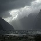 magical mystic milford sound *