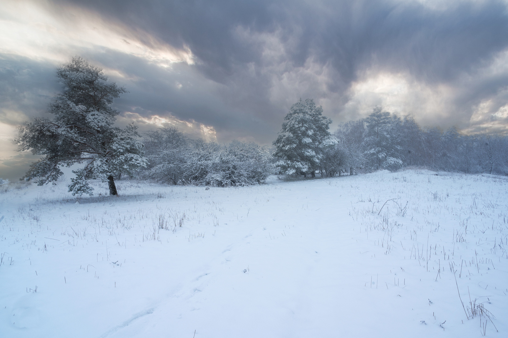 Magical winter panoramic landscape