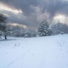 Magical winter panoramic landscape