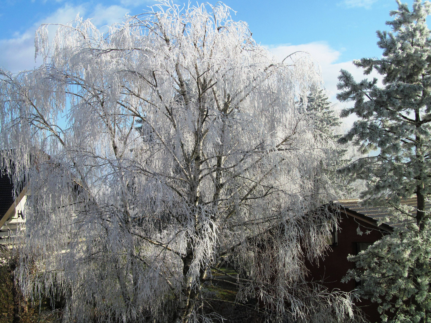 Magie de la nature