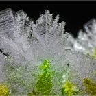 Magie der Eiskristalle