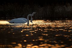 Magie der letzten Sonnenstrahlen