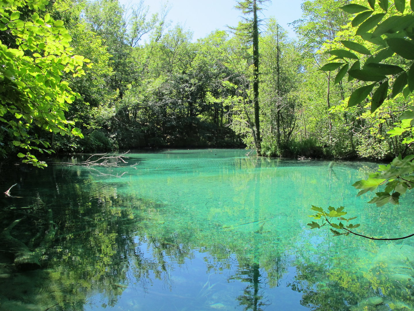 Entdecke die Magie der Natur mit Juni Bilder Natur: Eintauchen in die Schönheit der Wildnis