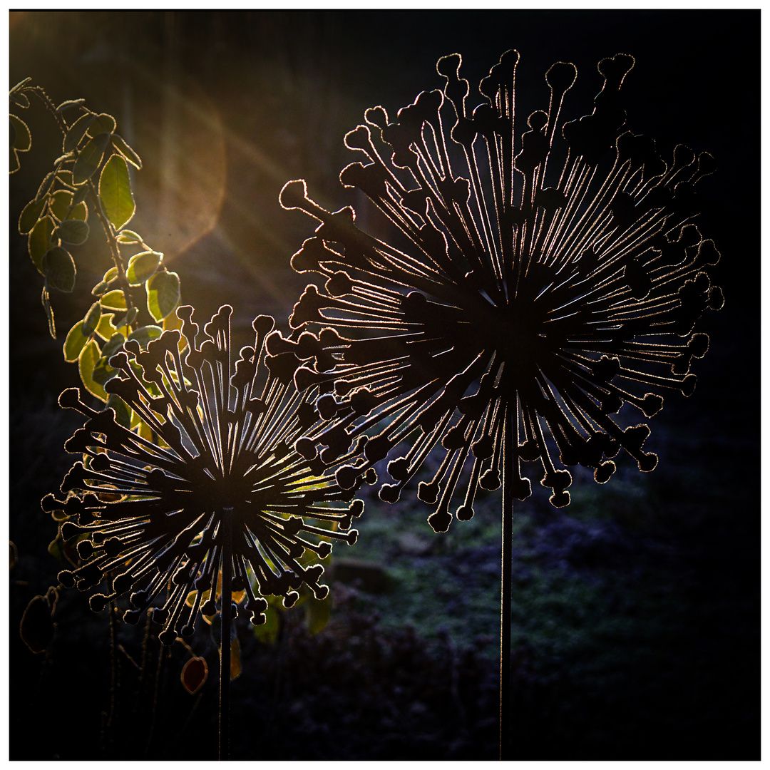 Entdecke die Magie des Lichts: Bilderrahmen Leuchte - Einzigartige Beleuchtung für deine Lieblingsmomente