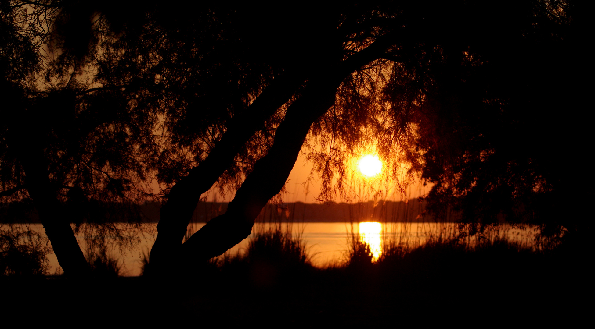 magie d'un soir ....