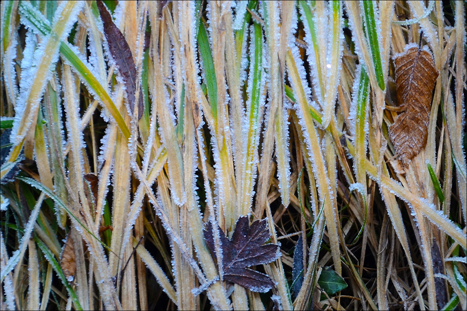 magie invernali 