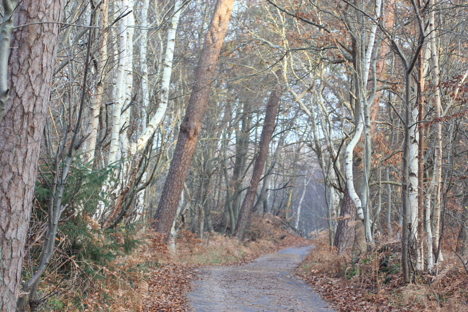 Magie liegt in der Luft