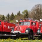 Magirus-3884