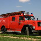 Magirus-Deutz F Mercur LF 16