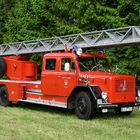 Magirus Eckhauber DL