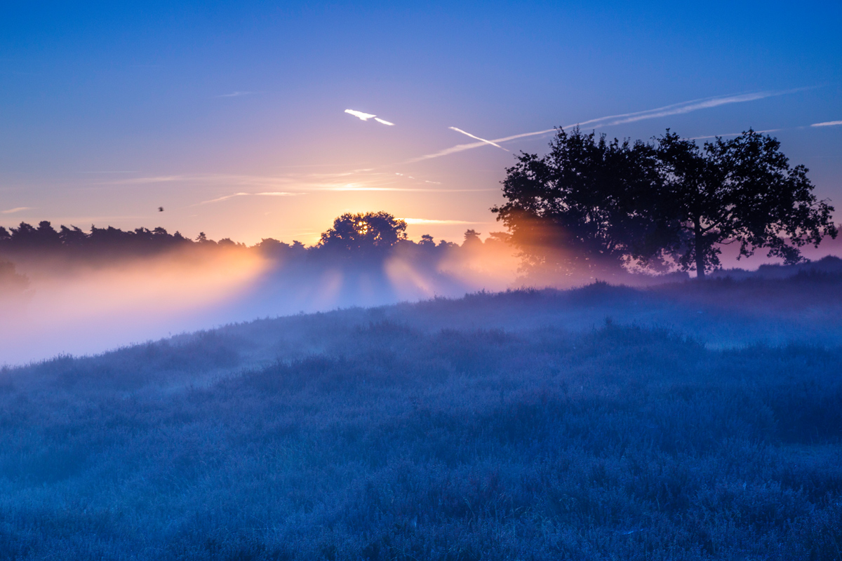 Magisch Foto & Bild | münster/-land , rot, mystisch Bilder auf