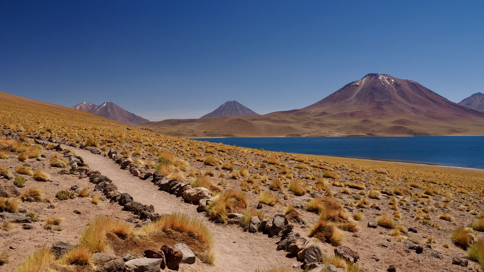 Magische Atacamawüste